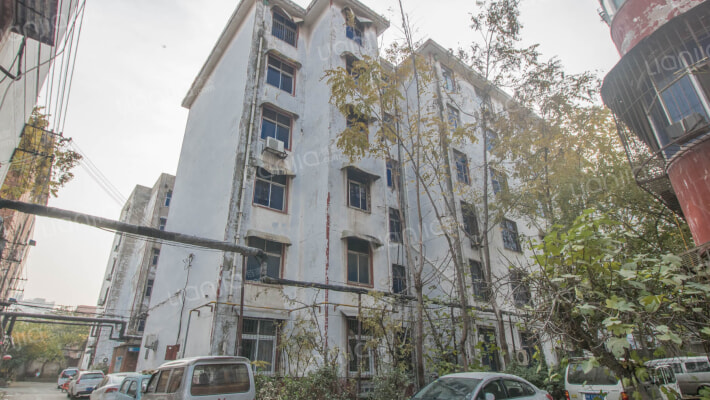 望田路市政府家属院外景图