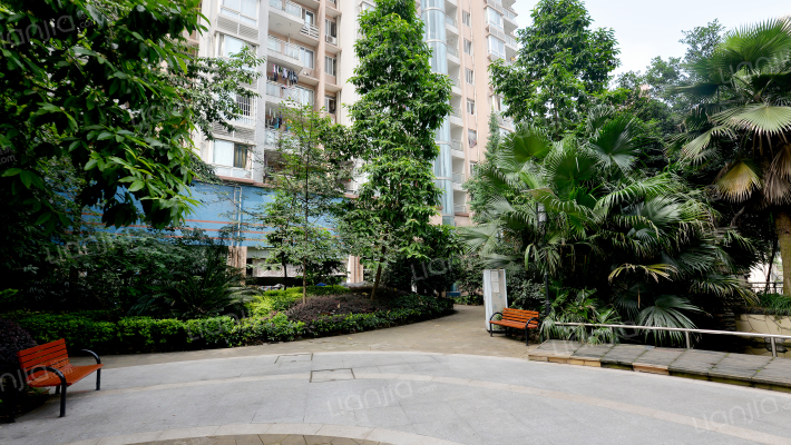 左岸阳光外景图