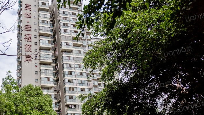 幸福彼岸外景图