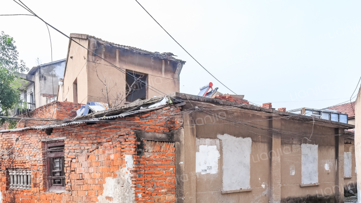 西街老园上16外景图