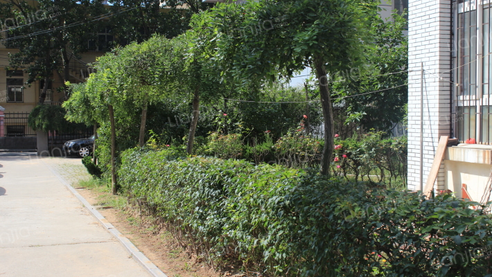 吴兴路（中央商务区）外景图