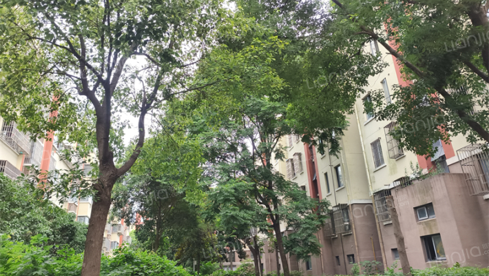 尹东九村（B区）外景图
