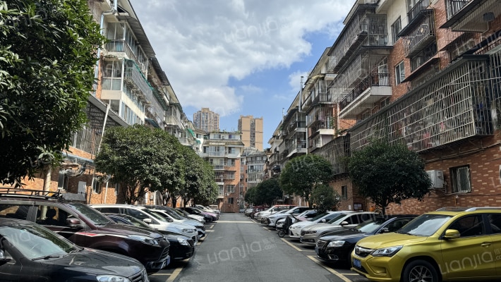 金强柳浪湾4号院外景图