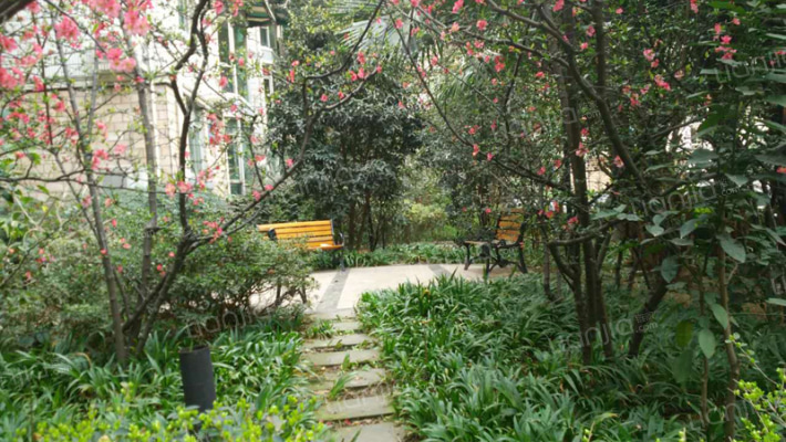 泰怡花园外景图