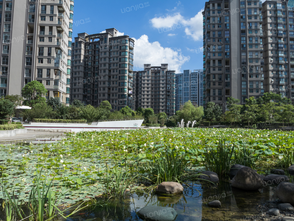 经纬城市绿洲相册