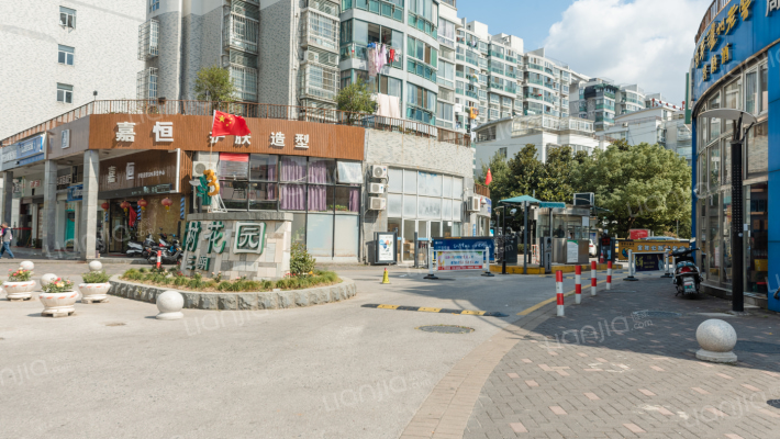 大树花园三期外景图