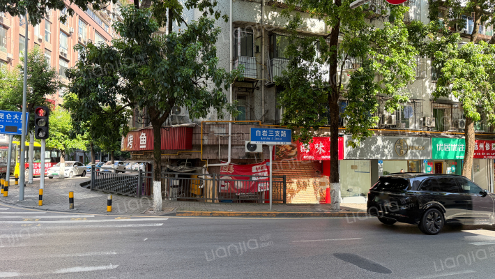 白岩三支路外景图