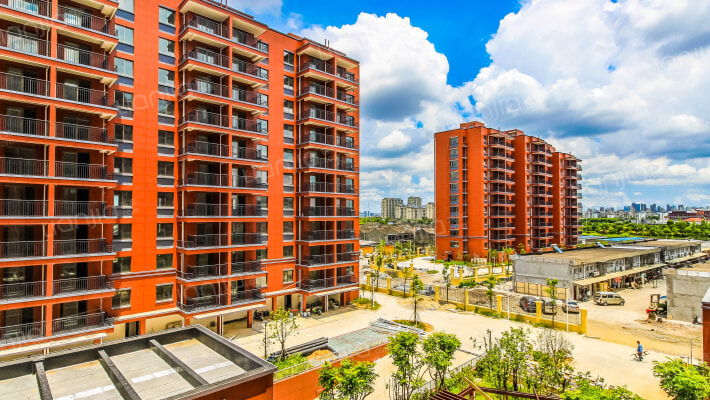 芦蓬家园外景图