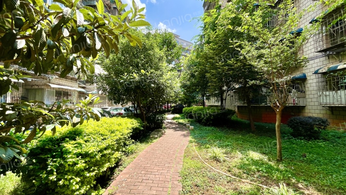 云锡小区外景图