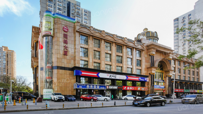 翔峰大夏外景图