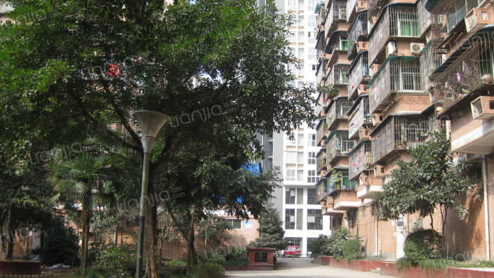 兰花二小区外景图