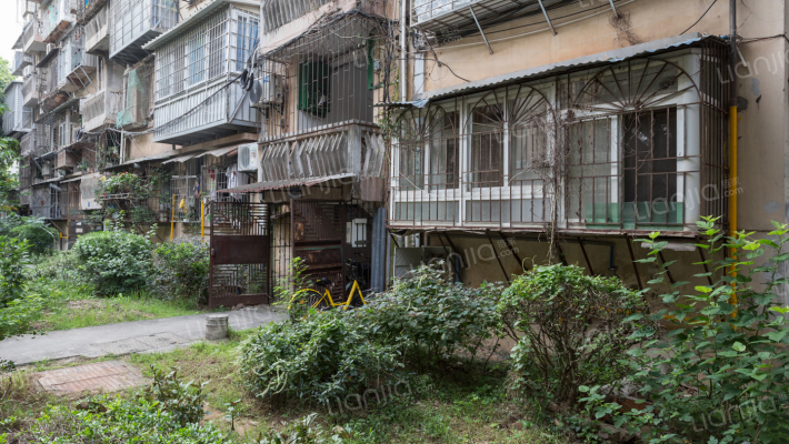 槟榔花园外景图