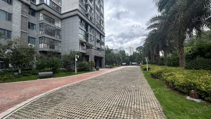 天翼花园外景图