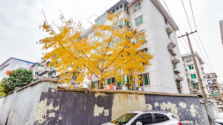 宁国路152号宿舍外景图