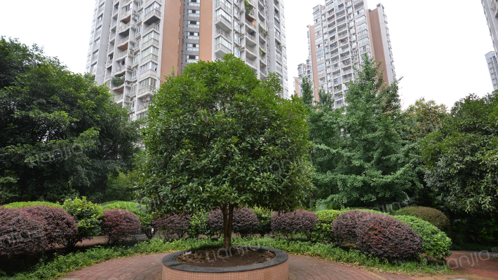 金港尚城外景图