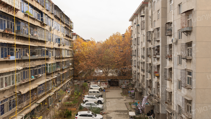 花园东村外景图