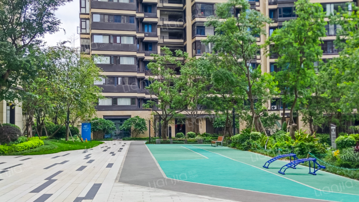 金成江南壹品外景图