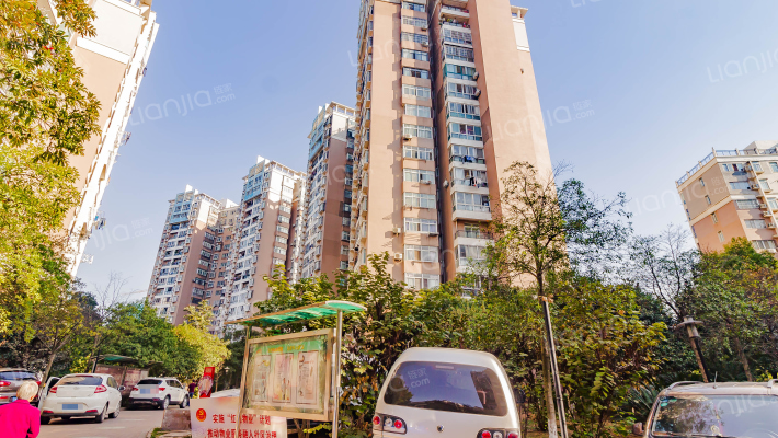 鹦鹉大道375号外景图