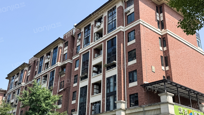 中央美墅外景图