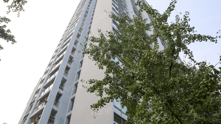 浩龙盛世年华外景图