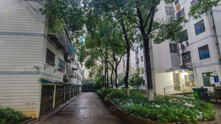 银园公寓外景图