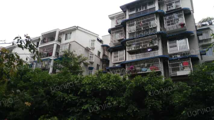 双水康城A区外景图