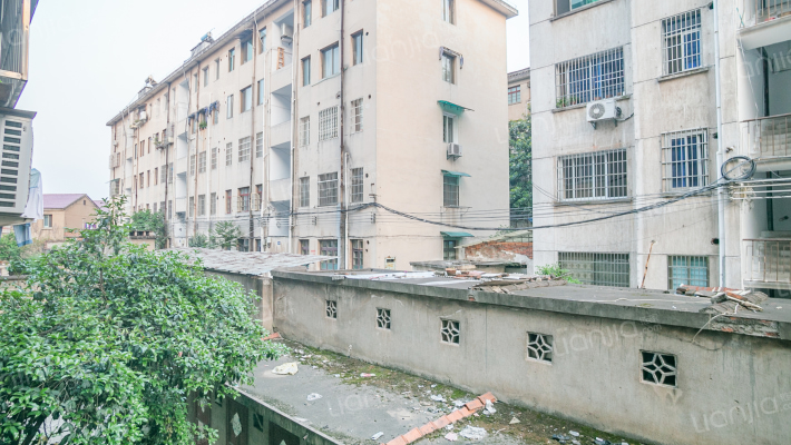 青春路283号外景图