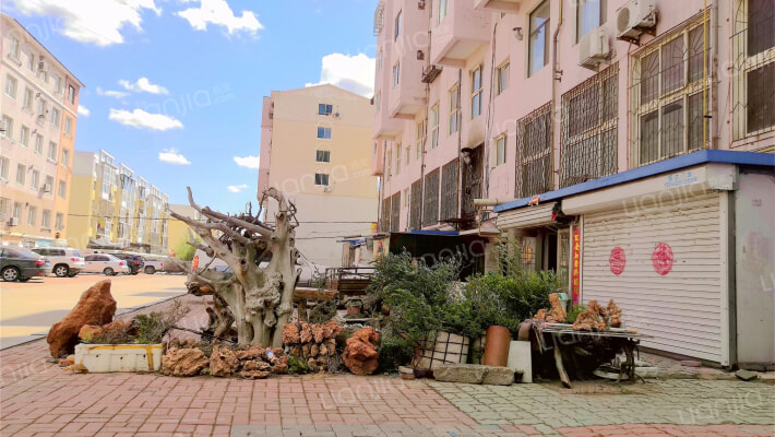 泰安鑫居外景图