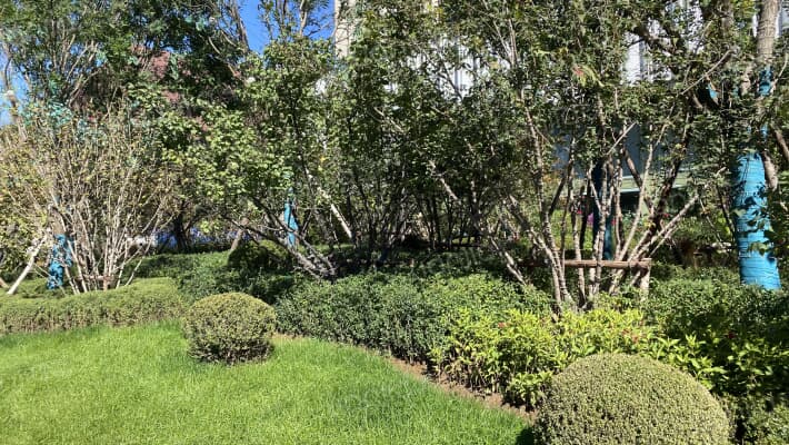 中金时代启城外景图