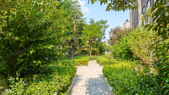 南湖御景外景图