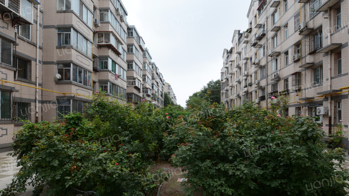 中华小区二区外景图