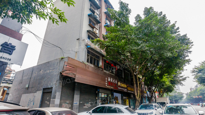 璧渝路249号外景图