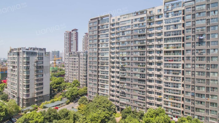 新城南都花海外景图