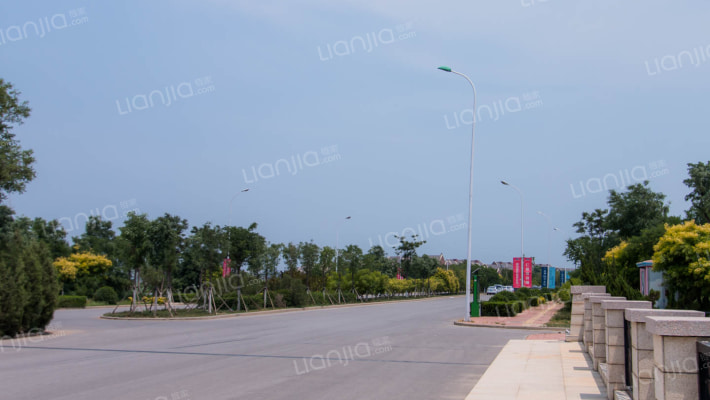 仁爱丁香岛外景图