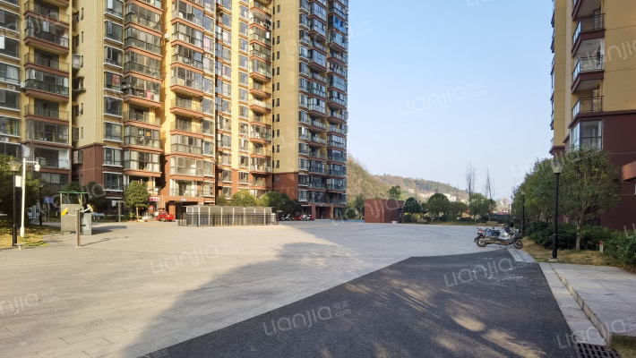 学府青藤外景图