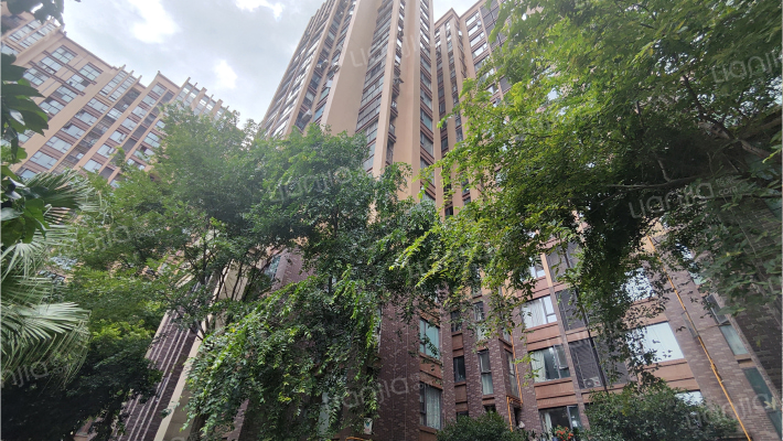 唐安银座外景图