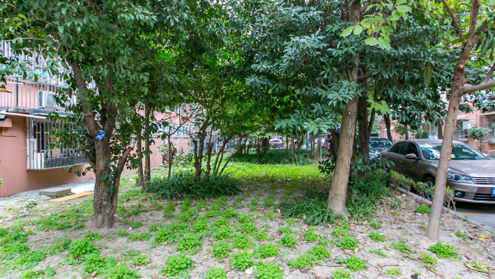 六里二村外景图