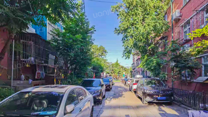 香山一棵松外景图