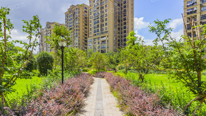 香滨左岸三组团外景图