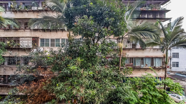 五一路107号小区外景图