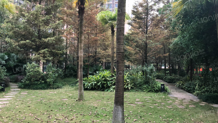 北城未来C区外景图