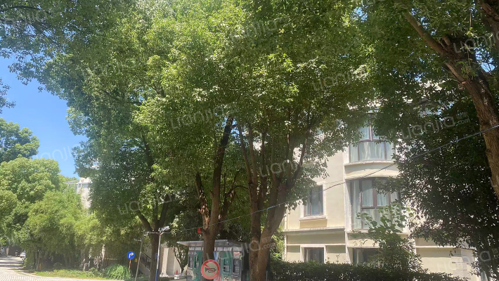 盛世华庭外景图