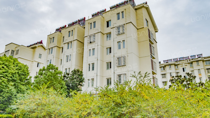 九龙湖花园外景图