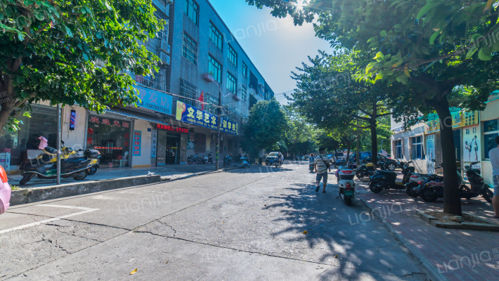 独树根东路二巷外景图