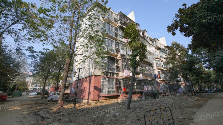 京安路二建宿舍外景图