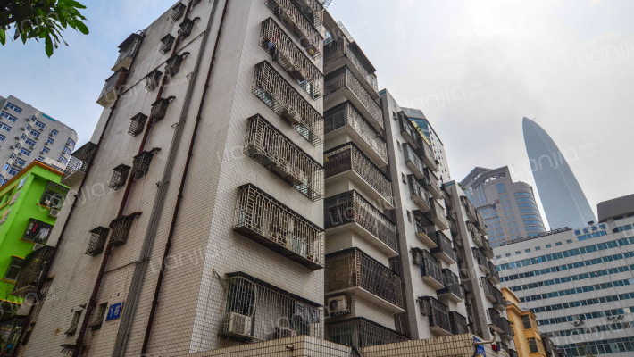 红围二巷13号外景图