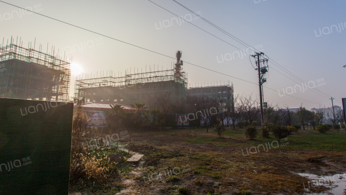 盛世花苑外景图