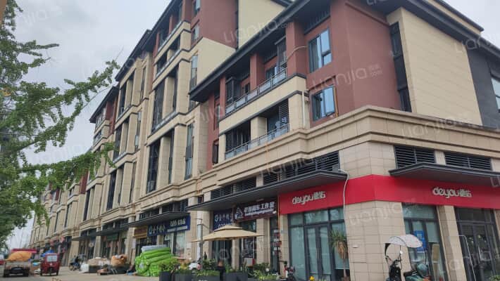 花样年龙年中心三期外景图