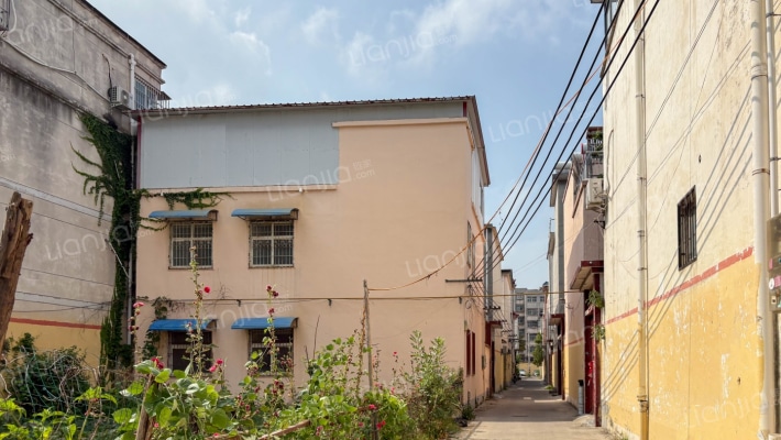 王楼李庄大别墅外景图