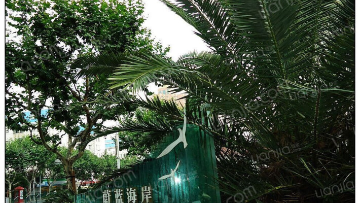 蔚蓝海岸天科苑外景图